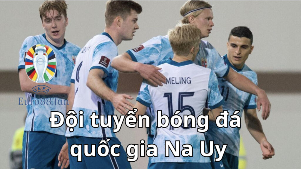 Tổng quan về đội tuyển quốc gia Na Uy 