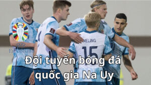 Tổng quan về đội tuyển quốc gia Na Uy 
