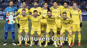 Cadiz trở lại của dự án do thám ở Ấn độ