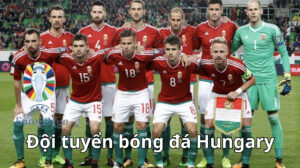 Đội tuyển bóng đá Hungary