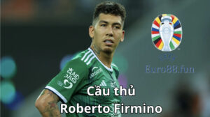 Quá khứ của Roberto Firmino